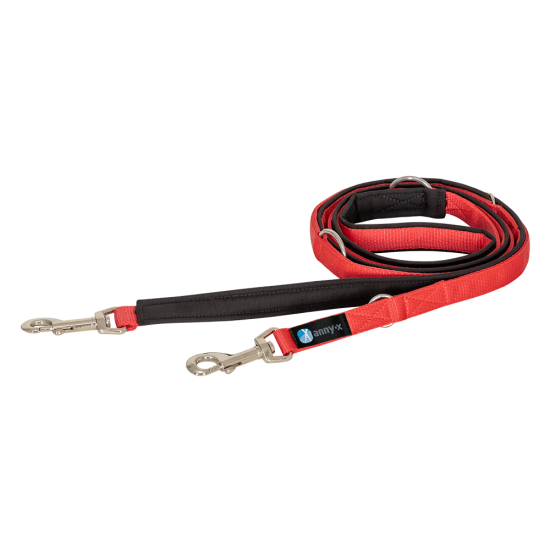 annyx Führleine Classic Bolt Fun schwarz/rot